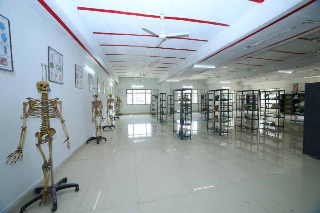 Anatomy-picture-032A7386