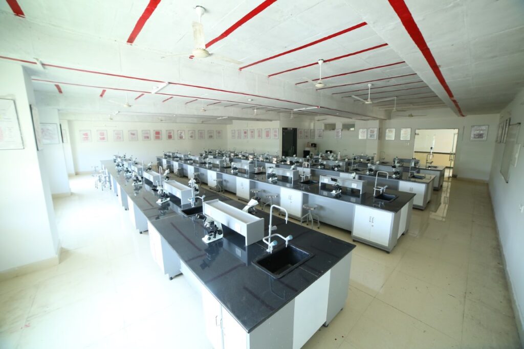 Anatomy-picture-032A7400